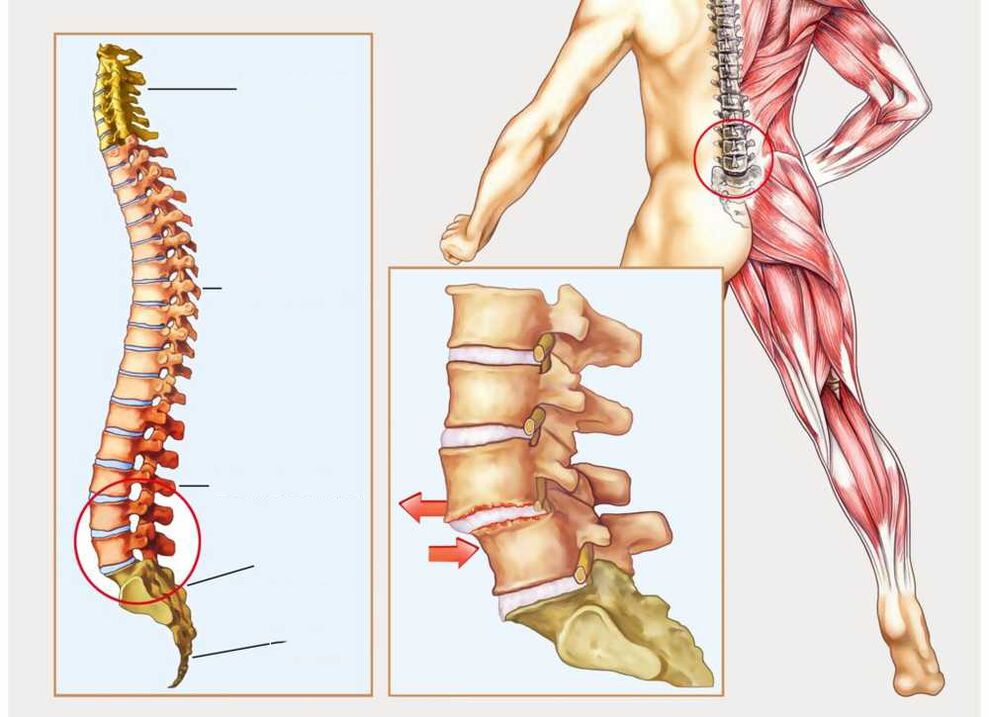 здрав и болен рбет